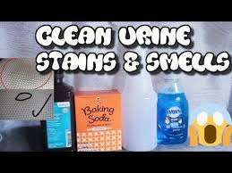 Remove Pee Stains Smells Out Of Mattress Easy Youtube Pee Stains Stains Urine Stains