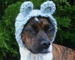 I Really Like This Dog Snood Dog Hat Snood Pattern