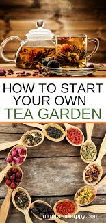 Pin On Greenliving
