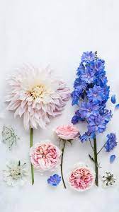 Looking for the best wallpapers? Summer Flowers Phone And Desktop Wallpapers A Conversation