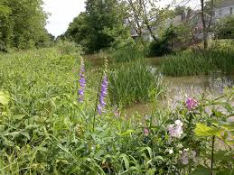 Check spelling or type a new query. Heart And Sole Hiking The Miami And Erie Canal And The Towns It Built