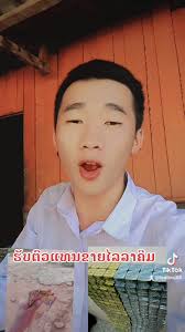 Koj tseem nyob rau phov twg qhias tuaj