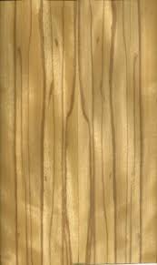 Image result for Scorodophloeus