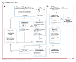 A muscular and integumentary b immune and muscular c integumentary and endocrine d endocrine and immune. Esc Guidance For The Diagnosis And Management Of Cv Disease During The Covid 19 Pandemic