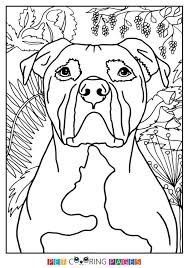 It's very sad that they have gotten a bad reputation. Pin On Pitbulls Are Pure Love