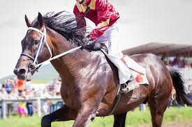This saturday marks the 135th kentucky derby. Kentucky Derby Facts You Never Knew Reader S Digest