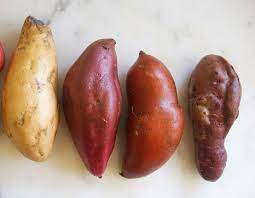 Roasted Potato Bunnies Potatoes Yams Recipe Japanese Sweet Potato