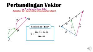 Quipperian, yuk coba kupas tuntas pelajaran matematika materi vektor peminatan untuk kelas 10 yang wajib diperhatikan banget!. Perbandingan Vektor Matematika Peminatan Kelas X Semester 2 Vektor Matematika Matematikapeminatan Youtube