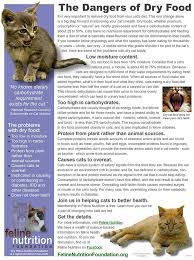Feline Nutrition S One Page Guides Cat Nutrition Cat Care Cat Health