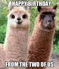 Memes are a way of ridiculing your friends in the most egotistical way. Top 200 Original And Funny Happy Birthday Memes