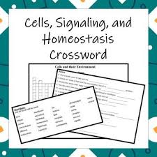 Cells Signaling And Homeostasis Crossword High School Biology Class High School Biology Textbook