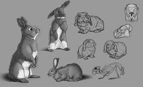The images above represents how your finished drawing is going to look and the steps. How To Draw A Rabbit Bunny Easily Tutorials For Beginners