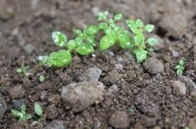 Tutorial mengobati penyakit dengan amal sholawat. Kalau Bisa Mengobati Diri Sendiri Kenapa Harus Ke Dokter Pengusahamuslim Com