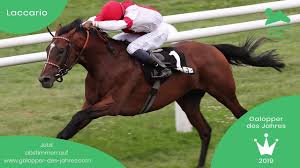 It was a rebadged first and second generation mitsubishi pajero and was assembled at the hyundai precision industry, co. Luisa Laukhardt Stellt Uns Laccario Vor Kandidat Zum Galopper Des Jahres 2019 Youtube