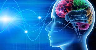 脳科学で明らかになった「記憶力アップ」に効く11個の習慣。 - STUDY HACKER｜これからの学びを考える、勉強法のハッキングメディア