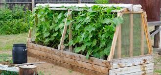 We chose to build a cold frame out of pallets and other simple supplies we already had on hand. How To Make A Hotbed For The Earliest Sowings