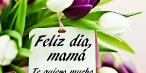 Tendencias para el día de la madre. Dia Del Padre Y Dia De La Madre