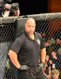 We did not find results for: Top 10 Most Famous Ufc Referees Speak Mma