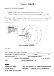 Cell Division And Mitosis Worksheet Answer Key Also Worksheets 42 Re Mendations The Cell Cycle Worksheet High Cell Cycle Mitosis Vocabulary Worksheets