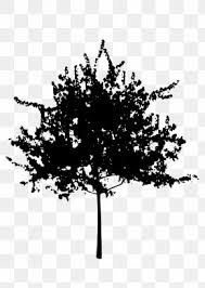 Maybe you would like to learn more about one of these? Tree Silhouette Images Tree Silhouette Transparent Png Free Download