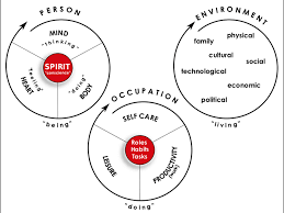 The Person Environment Occupation Model A Transactive Approach To Occupational Performance Mary Law Barbara Cooper Susan Strong Debra Stewart Patricia Ri Occupational Therapy Assistant Occupational Therapy Therapy