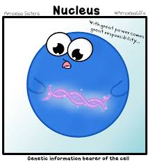 Https Encrypted Tbn0 Gstatic Com Images Q Tbn And9gcr Wv 7hxqupwo Ip1 Gg1ysyzri7iae Wsuw Usqp Cau You draw, and a neural network tries to guess what you're drawing. 2
