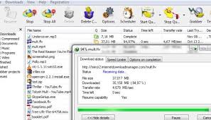 The internet download manager (idm) affiliate program is an easy way for you to earn money by promoting internet download manager. Internet Download Manager Free Download Getgamez Net