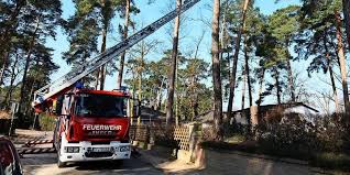 Jeder darf bäume fällen, solange er einen motorsägenschein hat. Blankenfelde Mahlow Gemeinde Schrankt Baumschutz Stark Ein