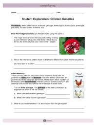 Therefore, the number of heterozygous individuals 3. Chicken Genetics Gizmo Chickengenetics Gizmo