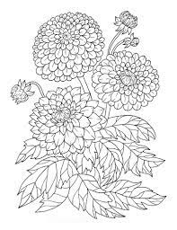 Free printable realistic flowers coloring page for kids to download, realistic flowers. 112 Beautiful Flower Coloring Pages Free Printables For Kids Adults