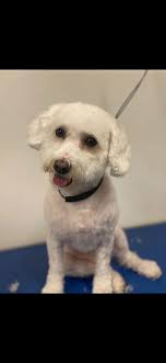 Hey guys!! I hope this is okay to post here please delete if not allowed ❤️  I have seen lots of people