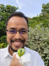 Relocating a Hawk Moth Caterpillar from Garden