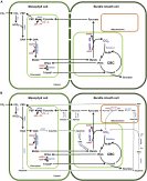 We did not find results for: Plant Communications Cell Press