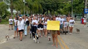 Moradores fazem protesto após morte criminosa de cão comunitário em Florianópolis