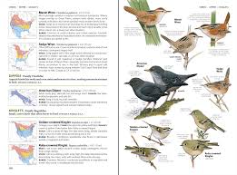 Backyard Birds Of New Jersey Field Guide Field Guide Page Google Search Field Guide Little Birds Sibley
