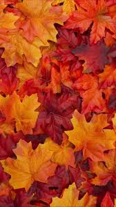 Herbstfarben Herbst Wallpapers Designs Herbst Farben Herbst Hintergrund Herbstfarben