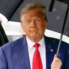 US divided along party lines over Trump election cases: Poll