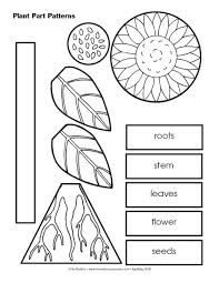 Many of them are editable and most are super easy to prep. Parts Of A Plant Song The Mailbox Plants Kindergarten Kindergarten Science Plant Activities