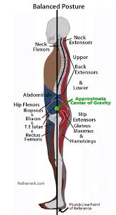 Pin On Physical Therapy