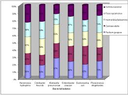 Antimicrobial Activity Of Medicinal Plants Against Gram