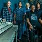 Little Feat