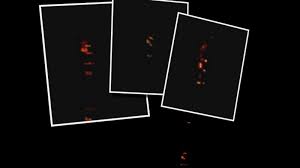 Aliens caught on tape : Woman Scared To Death By Latest Ufo Sighting Abc News