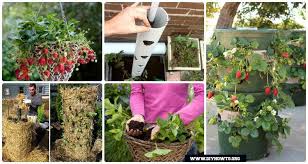 5 tier stacking planters & trolleys. 10 Space Saving Strawberry Garden Gardening Planter Ideas