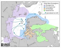 New Book Global Polar Bear Population Estimated At Close To