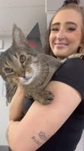 It brings us great sadness to inform you that our sweet Walter has crossed  the rainbow bridge., A few weeks ago, Walter was rushed to London Regional  Vet Emerge after his foster noticed him seizing., ...