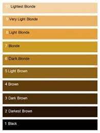 Hair Color Levels Charts Our Foolproof Guide To Choosing Tones Dyes Hair Color Formulas Hair Color Levels Hair Color Level Chart
