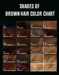 Light Brown Hair Color Chart