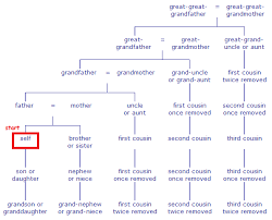 Names Of Different Family Relations X Post R Watchandlearn