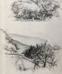 What's the best way to do a charcoal drawing? My Brief History Of Sketching Trees The Scribbles Institute