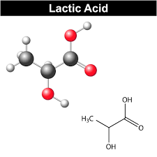 The Lactate Lactic Acid Debate An Outsiders Perspective